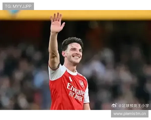 赖斯在国家队大赛关键战中的表现分析